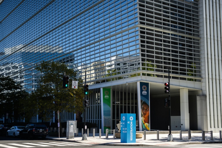 Gaspar spoke to AFP from the IMF headquarters in Washington, D.C. (Tierney CROSS)