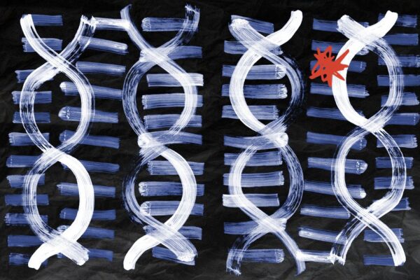 Scientists find combo of 14 genes that improve results