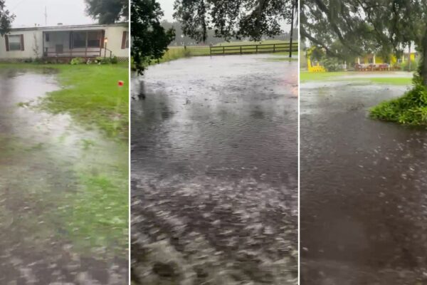 Hurricane Milton: Plant City facing ‘unprecedented’ flooding, rescues: ‘We have water everywhere’ Hurricane Milton: Plant City facing 'unprecedented' flooding, rescues: 'We have water everywhere'
