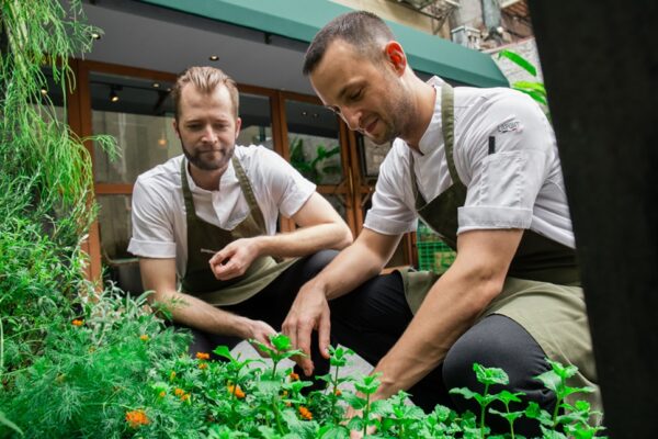 Hong Kong Green Star Restaurant Roganic's Sustainable Pop-Up Experiment in Taiwan