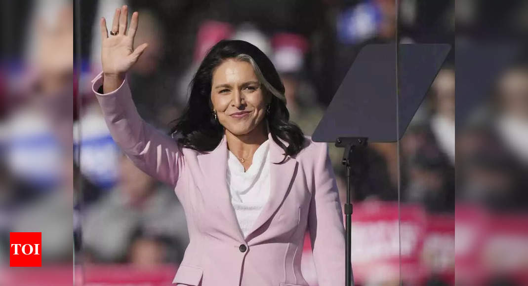 'Maverick move': Why spy world is 'alarmed' by Tulsi Gabbard's nomination as US intel chief