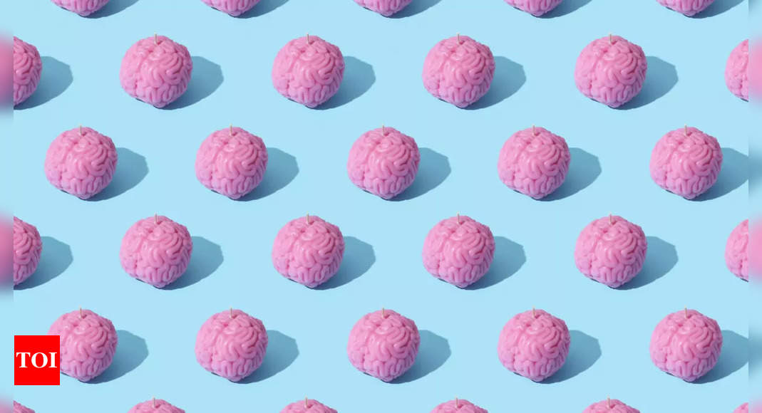 Daily household tasks can slow brain ageing |