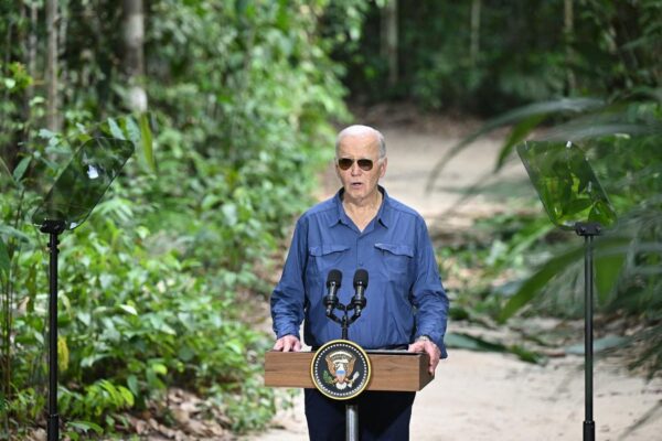 An Analysis Of The ‘Joe Biden Rainforest’ Memes