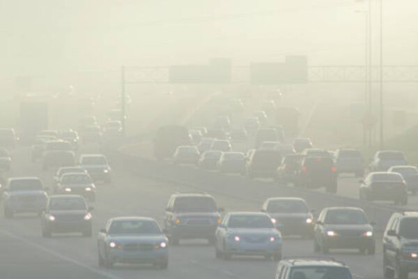 Exposure to air pollution may harm male and female fertility Exposure to air pollution may harm male and female fertility