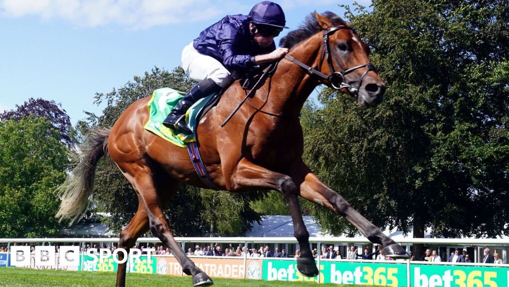 City Of Troy racing at Sandown