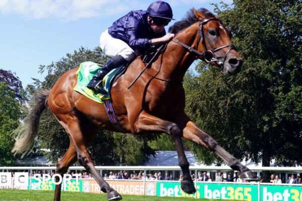 City Of Troy racing at Sandown