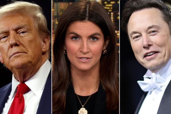 Video: What Kaitlan Collins’ sources are telling her about Elon Musk’s influence with Trump