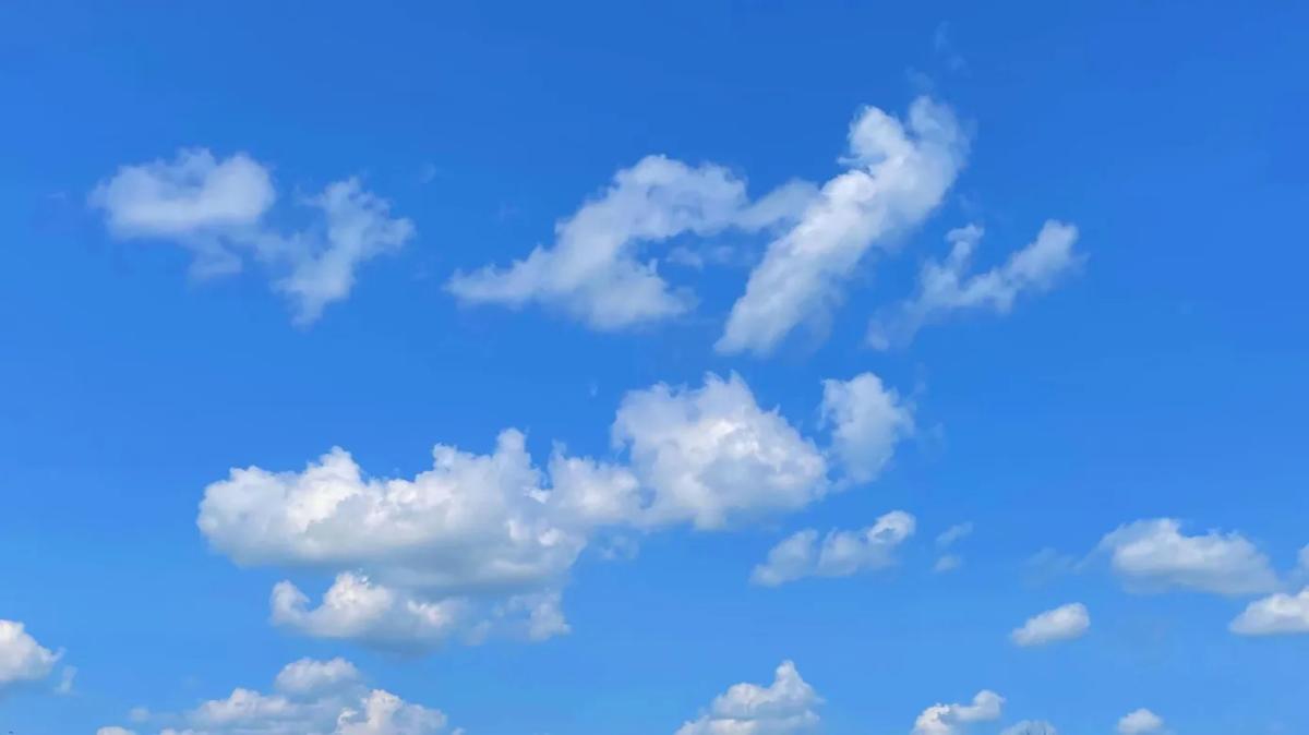 Bluesky says 1 million people signed up for the platform in last 24 hours