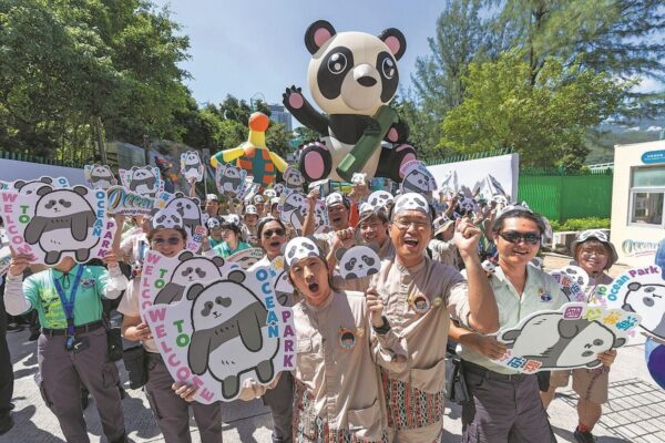 Gift pandas to make public debut in Hong Kong's Ocean Park on Dec 8