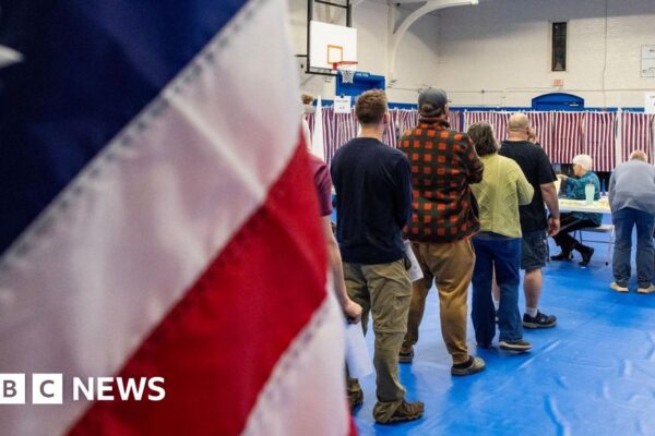 Stock markets and dollar rise as US election result in focus