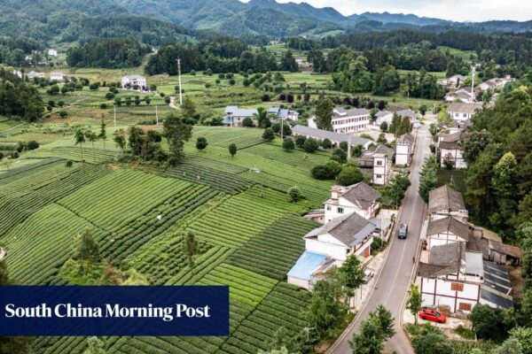 How constant stress tests on China’s village cadres are raising risks for rural stability