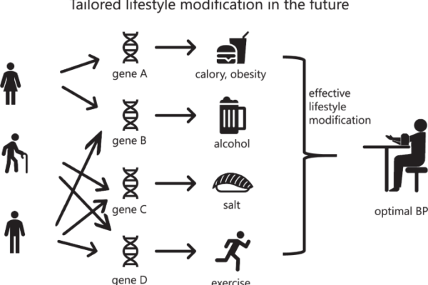 Could this be the first step towards a tailor-made lifestyle modification?