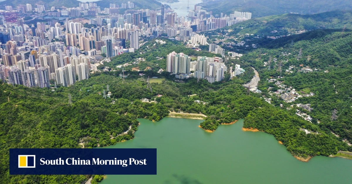 Hong Kong man, 75, hospitalised after getting stung by a bee during hike