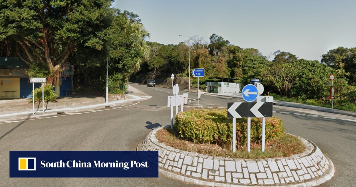Wild boar runs into motorcycle in Hong Kong, injuring rider and passenger