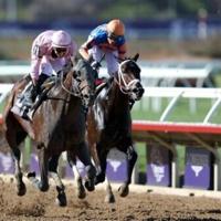 Sierra Leone wins Breeders' Cup Classic | World News