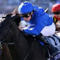 Rebel's Romance wins Breeders' Cup Turf marred by horse death | World News