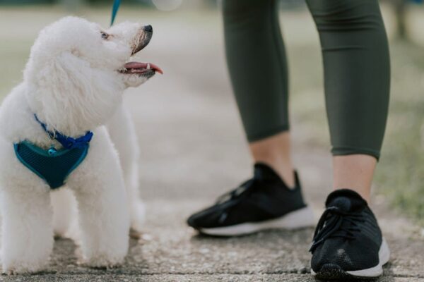 Woman Lost 80 Pounds Through Healthy Eating, Walking Dog for Longer