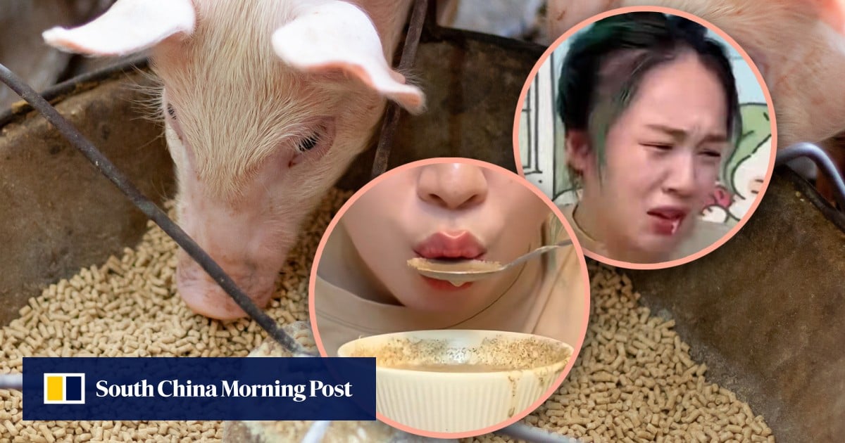 China KOL adopts pig feed diet costing 40 US cents to save money, raising health concerns