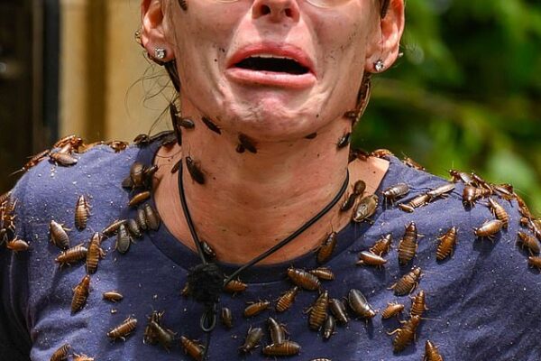 I'm a Celebrity viewers hailed Coleen Rooney a 'warrior' as she managed to keep her cool while covered in cockroaches and rats during Sunday's Bushtucker trial