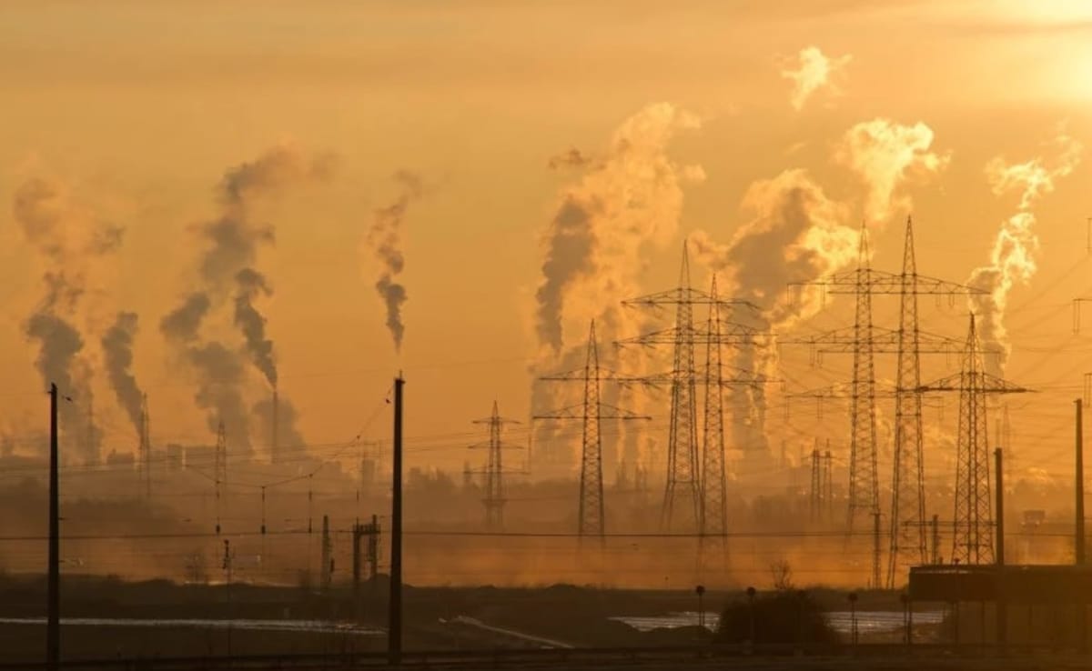 China Expected To Hit Peak Coal Consumption In 2025: Report