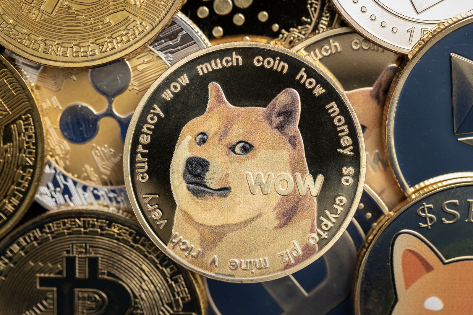 Forget DOGE, Here's 1 Stock to Invest in the Next Crypto Bull Market