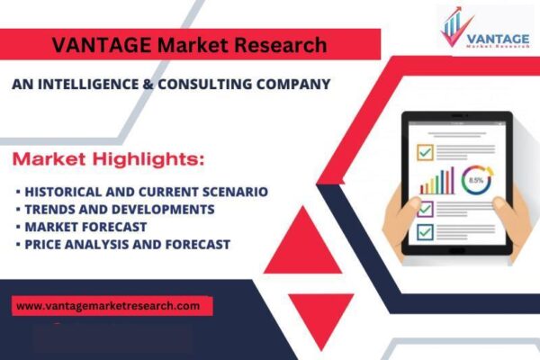 EV Traction Motor Market 2024 EV Traction Motor Market