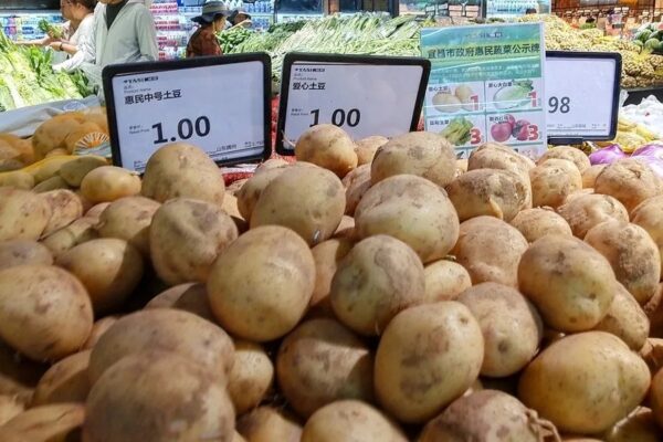 China’s potato industry leverages innovation and science to strengthen potato production – Potato News Today China’s potato industry leverages innovation and science to strengthen potato production – Potato News Today
