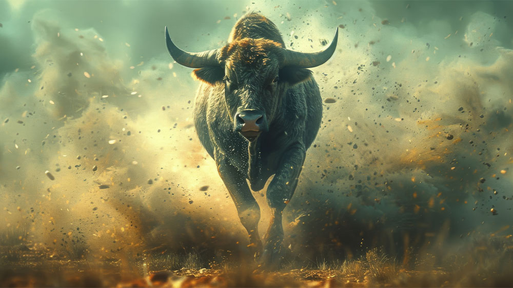 This Sector Leader On 300% Run Eyes Fresh Buy Point Amid Accelerating Earnings