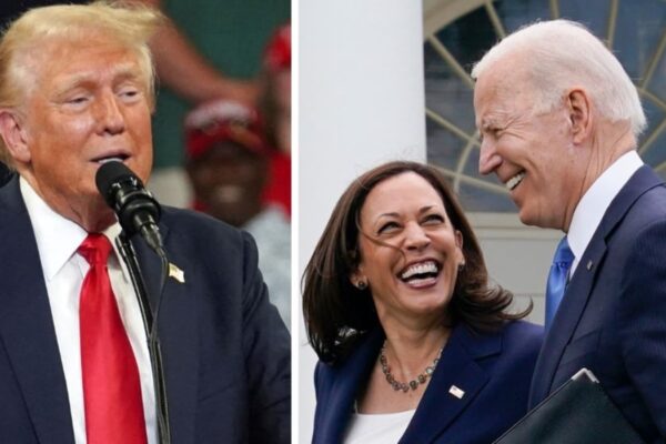 Was Joe Biden a better candidate than Kamala Harris? Election data shock experts