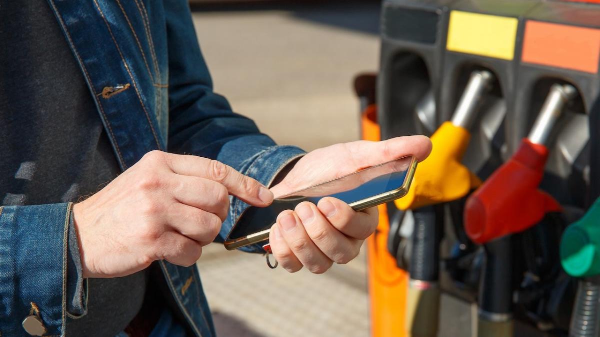 What categories do cash apps pay you for?