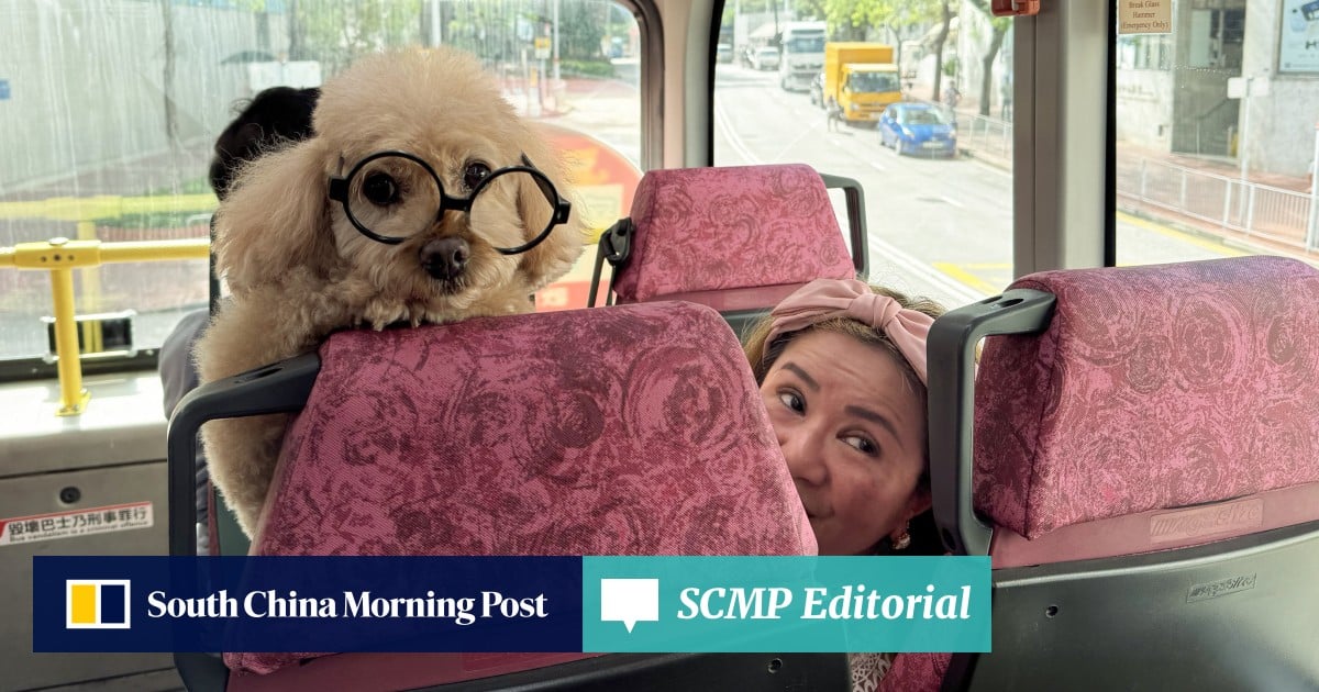 Editorial | Pet-friendly services on right road for Hong Kong