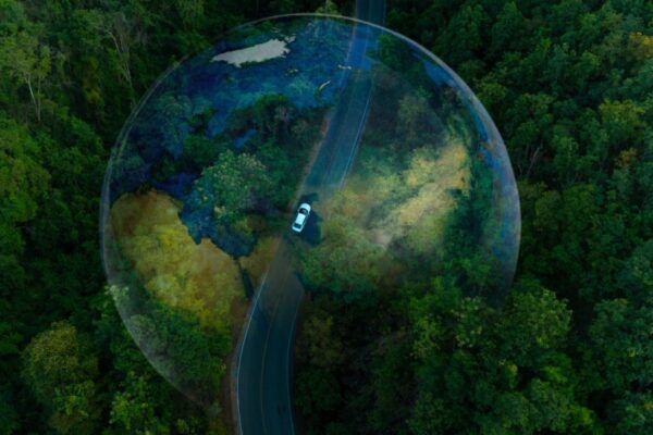 Which automotive brands are leading the global EV market?