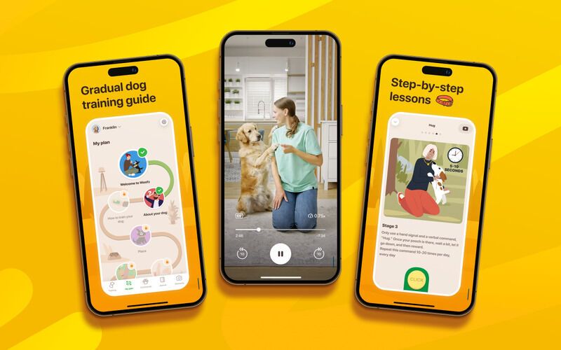 Expert-Led Dog Training Apps : Expert-led dog training app