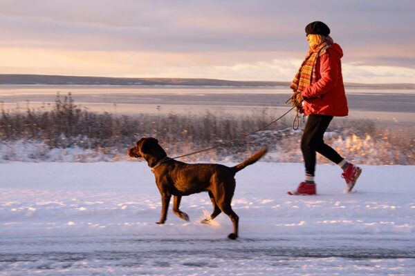 Daily Walks Could Add 11 Years to Your Life