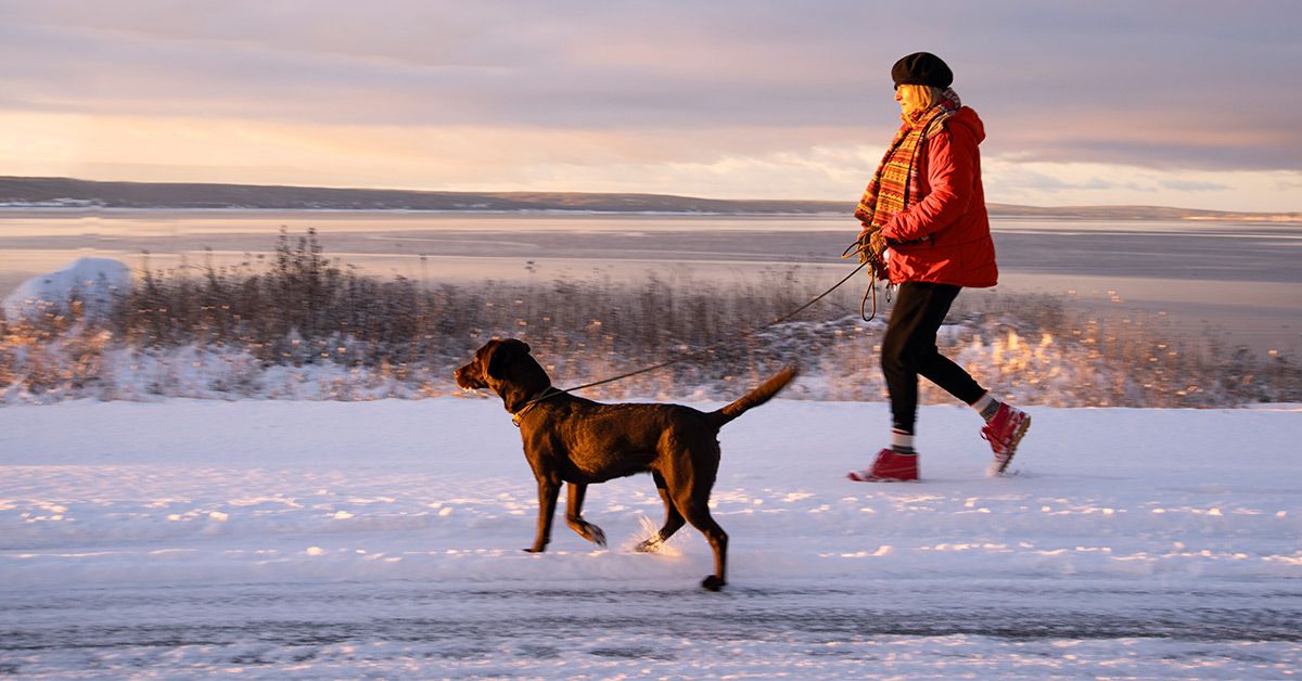 Daily Walks Could Add 11 Years to Your Life