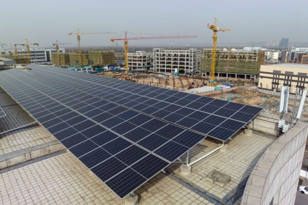 Longi Delays Solar Module Plant in China as Sector Struggles