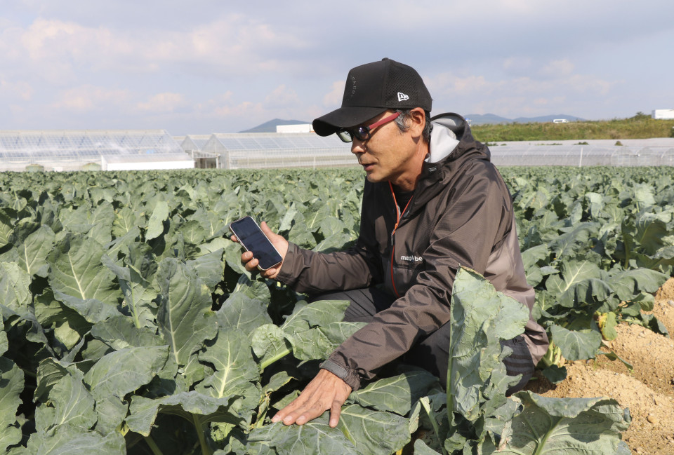 AI-based app helping Japanese farmers forecast crop pests