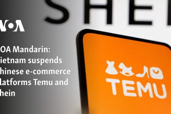 Vietnam suspends Chinese e-commerce platforms Temu and Shein 