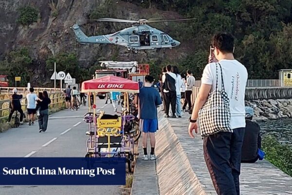 Hiker dies in Hong Kong hours after being attacked by stinging insects