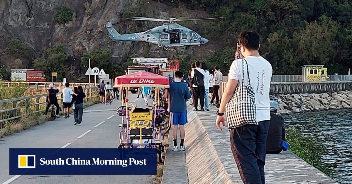 Hiker dies in Hong Kong hours after being attacked by stinging insects