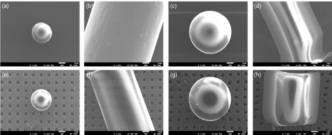 Microplastic particles in human blood and their association with coagulation markers