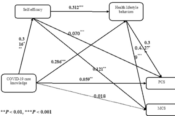 Self-efficacy and healthy lifestyle behaviors as mediators between COVID-19 care knowledge and health status