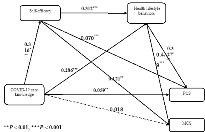 Self-efficacy and healthy lifestyle behaviors as mediators between COVID-19 care knowledge and health status