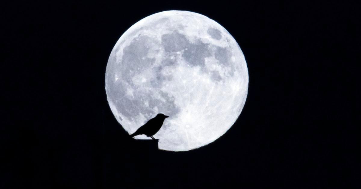 Switzerland Supermoon | Nation & World News