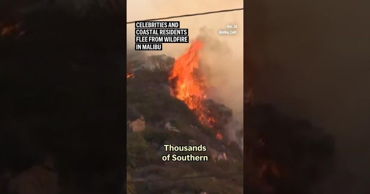 Celebrities and coastal residents flee from wildfire in Malibu |