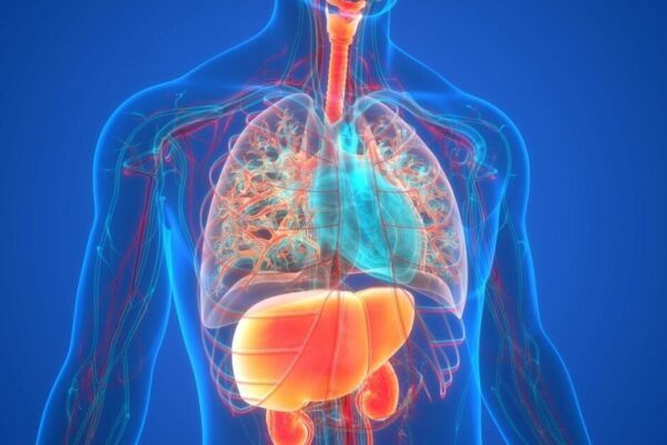 Multiple Chronic Conditions Can Add Up to Kidney Trouble | Health