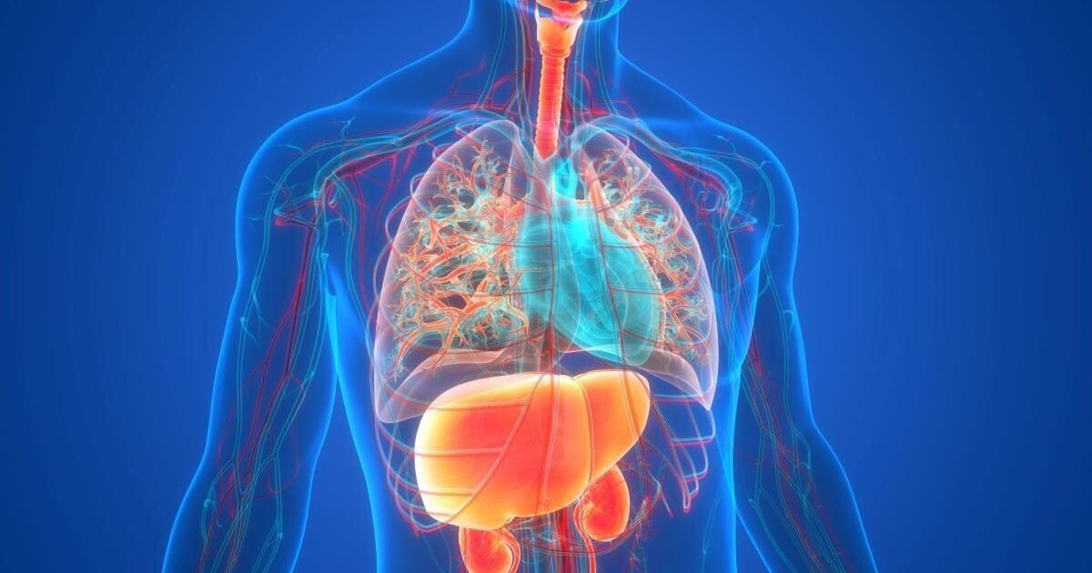 Multiple Chronic Conditions Can Add Up to Kidney Trouble | Health