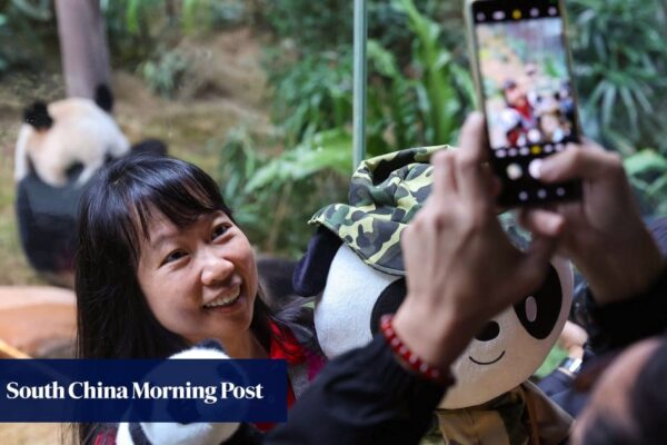 Ocean Park debut for Hong Kong pandas An An, Ke Ke draws fans from around the world