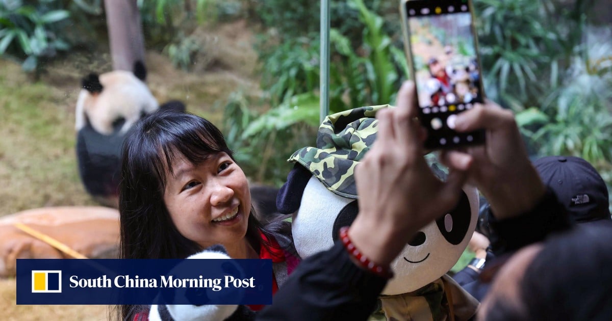 Ocean Park debut for Hong Kong pandas An An, Ke Ke draws fans from around the world