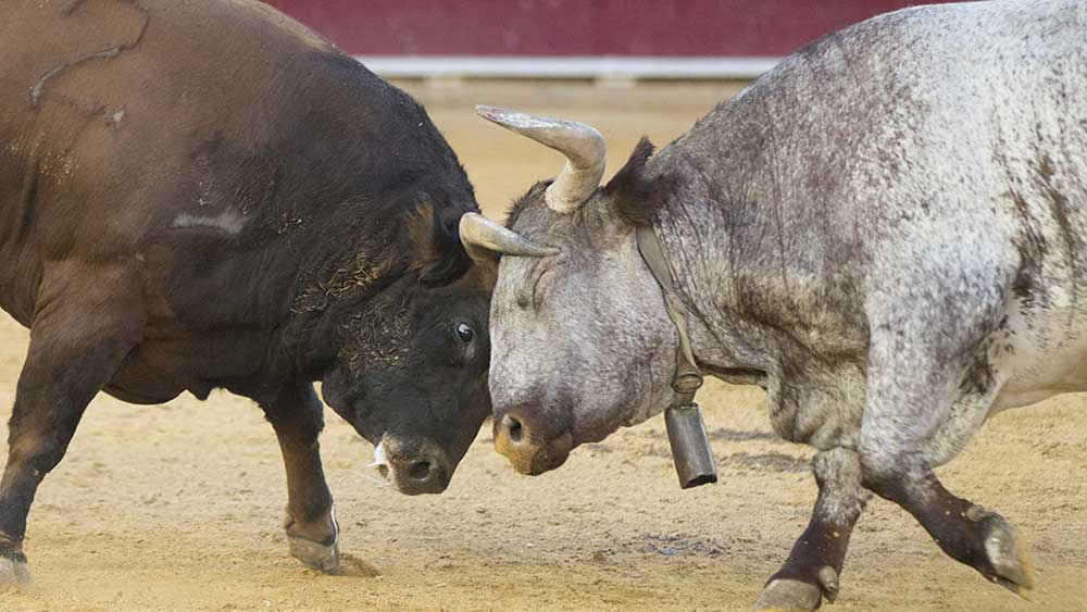 Stock Market Cools Off In Higher Volume, AppLovin Posts Sell Signal; Here's Why A Pullback Is Highly Probable